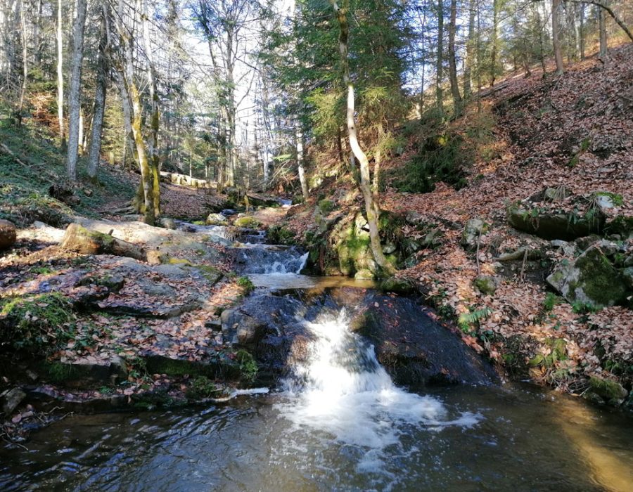 riviere-magic-la-fortance